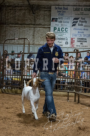 mayes_county_fair_premium_sale_2388