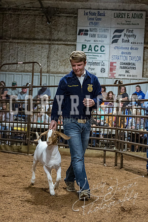 mayes_county_fair_premium_sale_2389