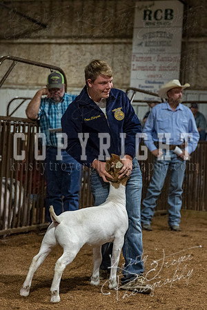 mayes_county_fair_premium_sale_2390