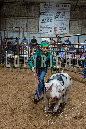 mayes_county_fair_premium_sale_2391