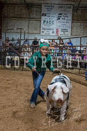 mayes_county_fair_premium_sale_2392