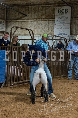 mayes_county_fair_premium_sale_2393