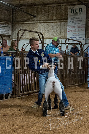 mayes_county_fair_premium_sale_2394