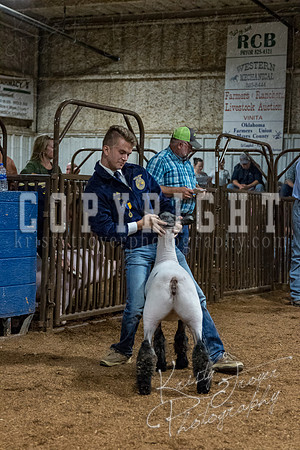 mayes_county_fair_premium_sale_2395