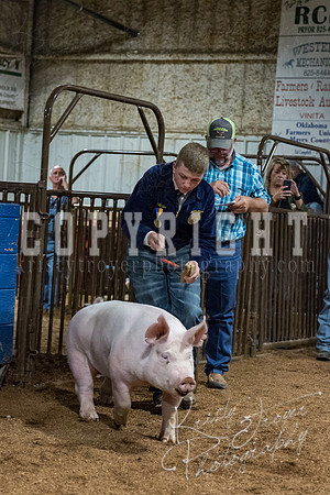 mayes_county_fair_premium_sale_2396