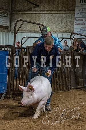 mayes_county_fair_premium_sale_2397