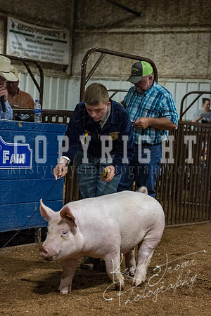 mayes_county_fair_premium_sale_2398