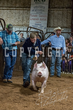 mayes_county_fair_premium_sale_2399