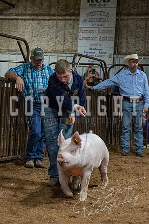 mayes_county_fair_premium_sale_2400