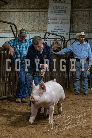 mayes_county_fair_premium_sale_2401