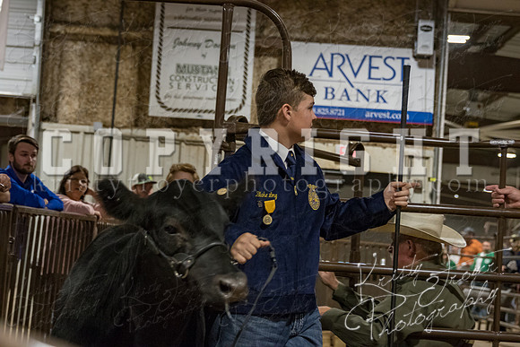 mayes_county_fair_premium_sale_2402