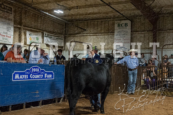 mayes_county_fair_premium_sale_2403