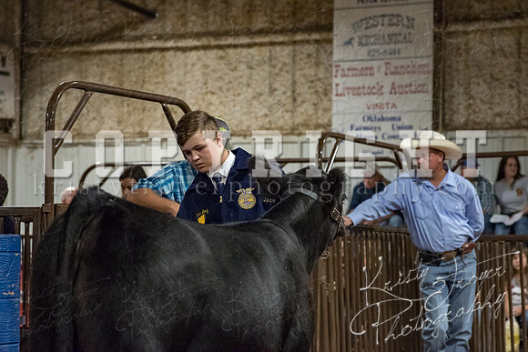 mayes_county_fair_premium_sale_2404