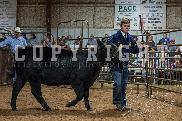 mayes_county_fair_premium_sale_2405