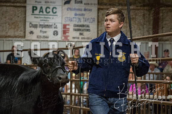 mayes_county_fair_premium_sale_2406