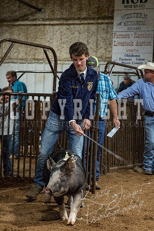 mayes_county_fair_premium_sale_2407