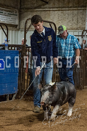 mayes_county_fair_premium_sale_2408