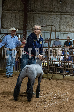mayes_county_fair_premium_sale_2412