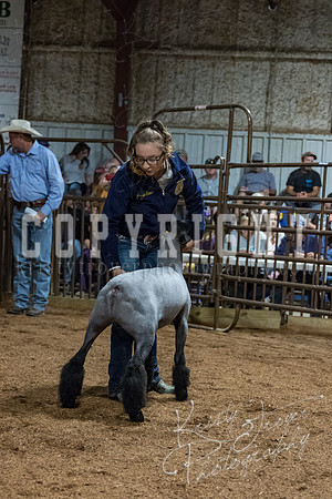 mayes_county_fair_premium_sale_2411