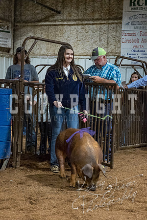 mayes_county_fair_premium_sale_2413