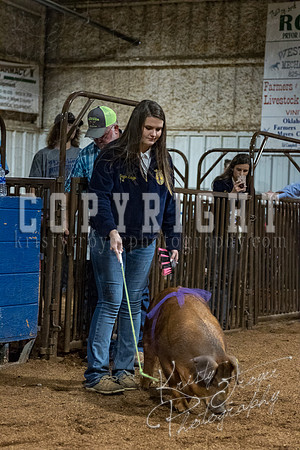 mayes_county_fair_premium_sale_2414