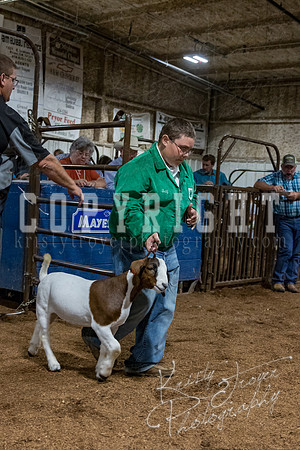 mayes_county_fair_premium_sale_2415