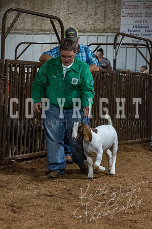 mayes_county_fair_premium_sale_2416