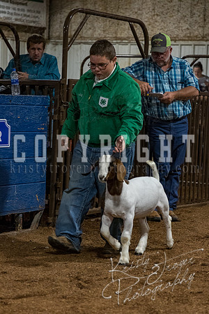 mayes_county_fair_premium_sale_2417