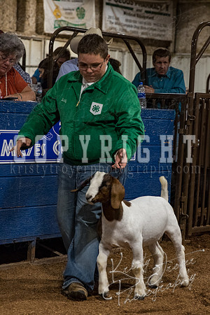 mayes_county_fair_premium_sale_2418