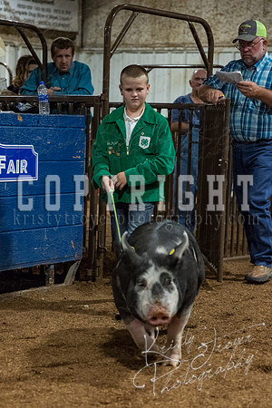 mayes_county_fair_premium_sale_2419