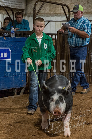 mayes_county_fair_premium_sale_2420