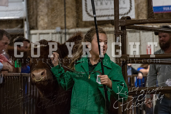mayes_county_fair_premium_sale_2421