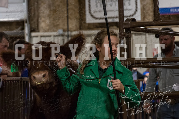 mayes_county_fair_premium_sale_2422