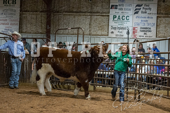 mayes_county_fair_premium_sale_2424