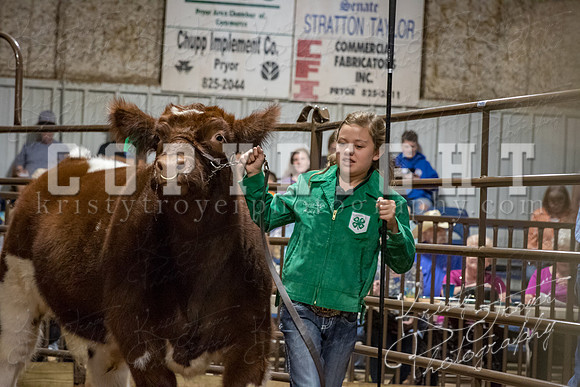 mayes_county_fair_premium_sale_2425