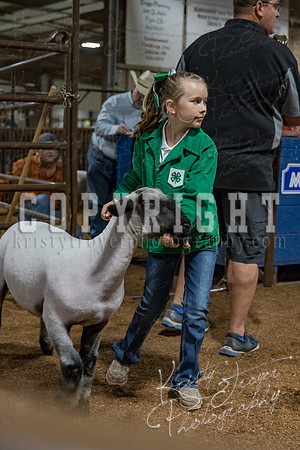 mayes_county_fair_premium_sale_2427