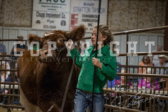 mayes_county_fair_premium_sale_2426