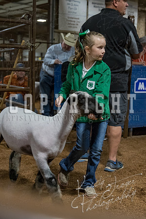 mayes_county_fair_premium_sale_2428