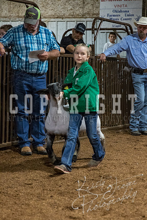 mayes_county_fair_premium_sale_2429