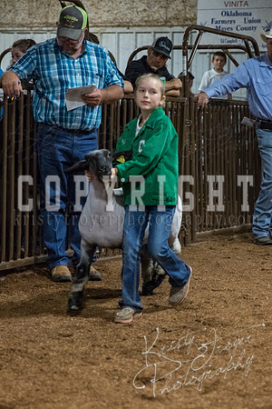mayes_county_fair_premium_sale_2430