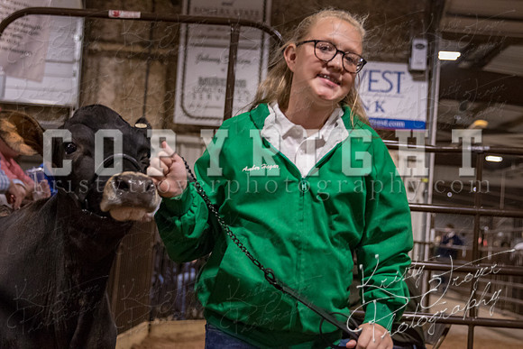 mayes_county_fair_premium_sale_2431
