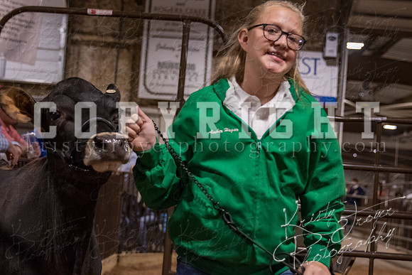 mayes_county_fair_premium_sale_2432