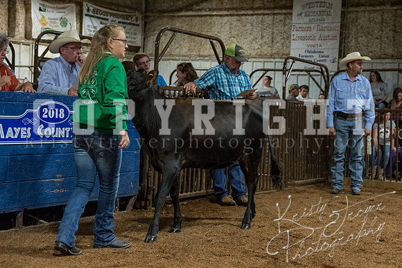 mayes_county_fair_premium_sale_2433