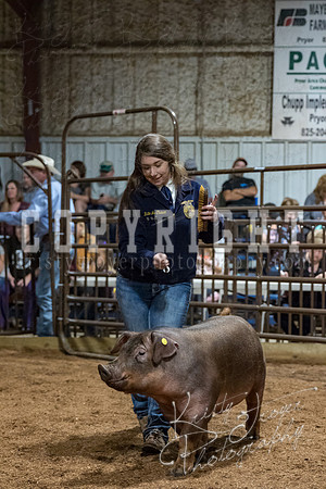 mayes_county_fair_premium_sale_2434