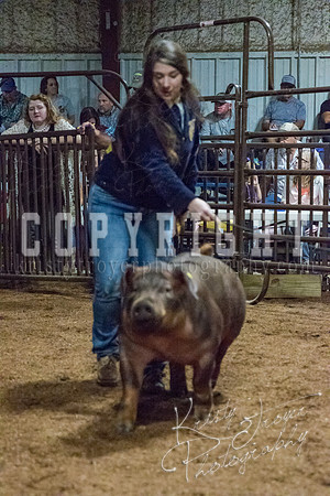 mayes_county_fair_premium_sale_2435