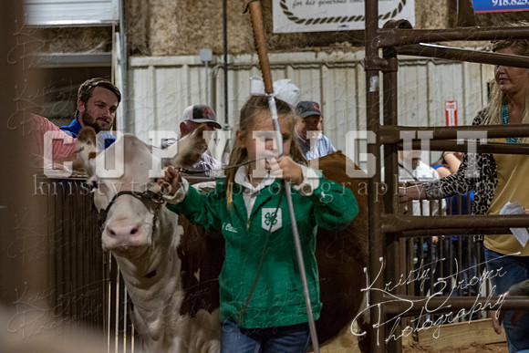 mayes_county_fair_premium_sale_2436