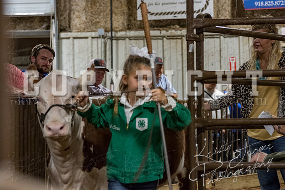 mayes_county_fair_premium_sale_2437
