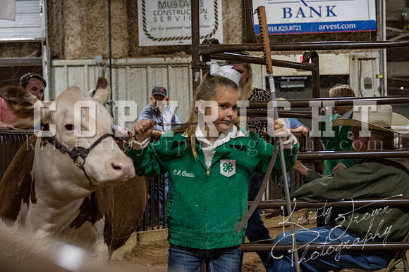 mayes_county_fair_premium_sale_2438