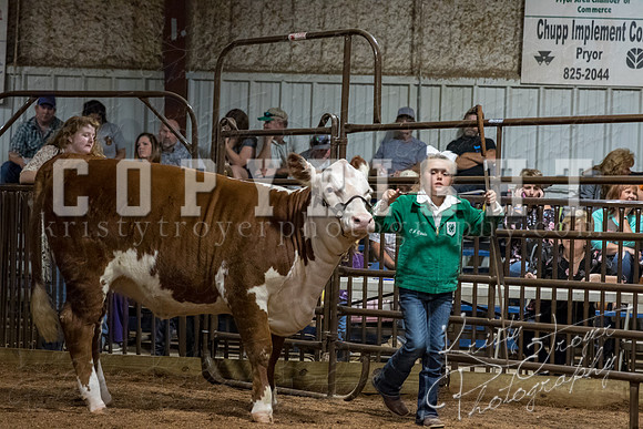 mayes_county_fair_premium_sale_2439