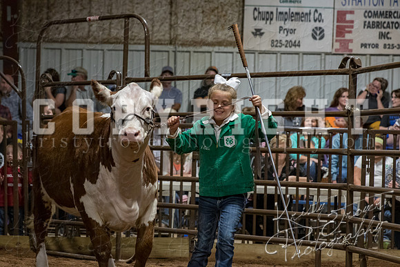 mayes_county_fair_premium_sale_2440